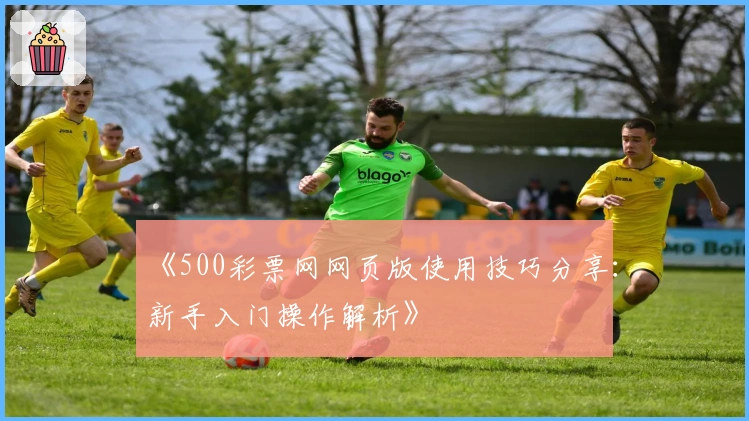 《500彩票网网页版使用技巧分享：新手入门操作解析》